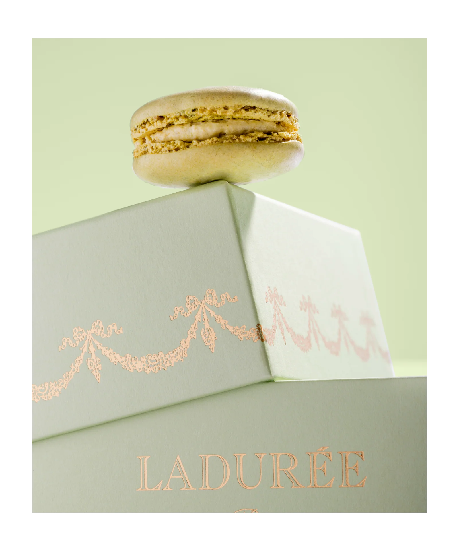 "Intemporel" 15 macarons gift box - green - Image 3