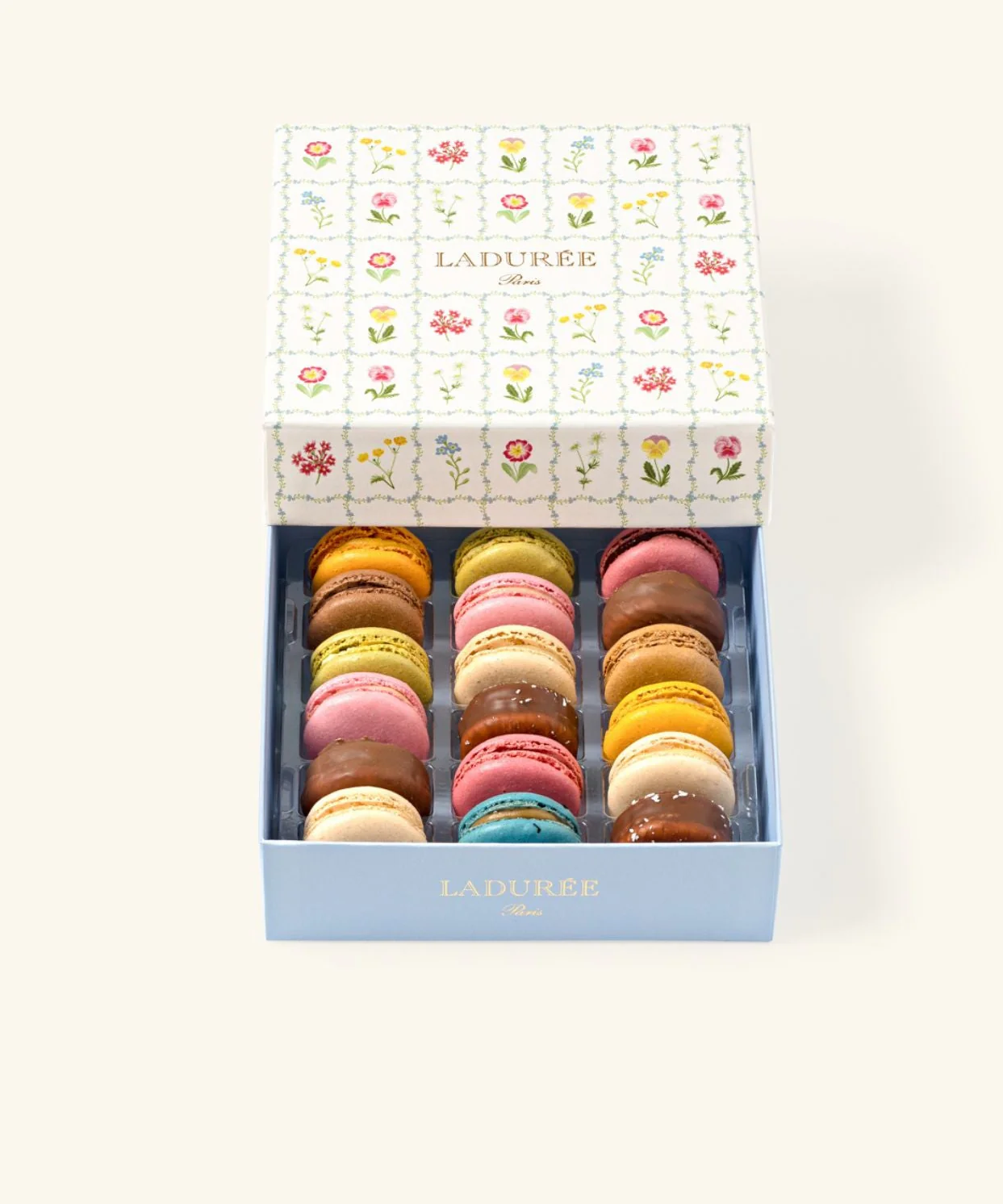 Coffret de macarons vide - Image 26